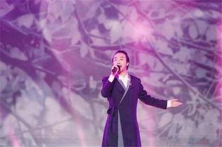 李玉刚爆料秘密视频播放,神秘视频背后的惊人真相 第1张 李玉刚爆料秘密视频播放,神秘视频背后的惊人真相 第1张