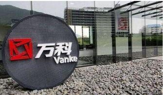 万科爆料最新消息是谁的,揭秘神秘幕后操控者身份! 第1张 万科爆料最新消息是谁的,揭秘神秘幕后操控者身份! 第1张